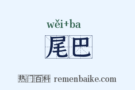 尾巴是什么意思的图片